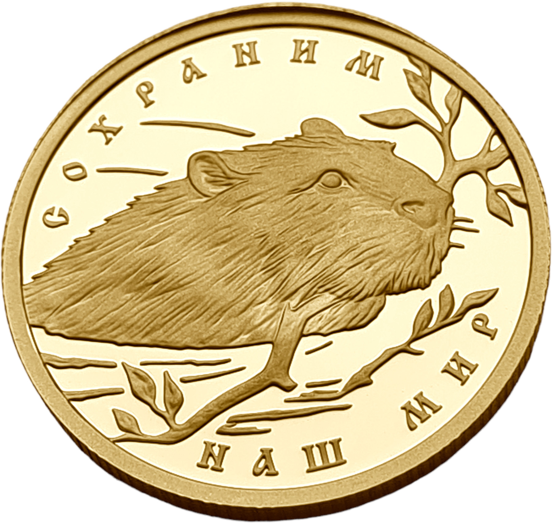 картинка Россия. 50 Рублей 2008 г. Золото. 7.89 г*0.999 0.25 oz. Речной Бобр! от магазина Одежда+